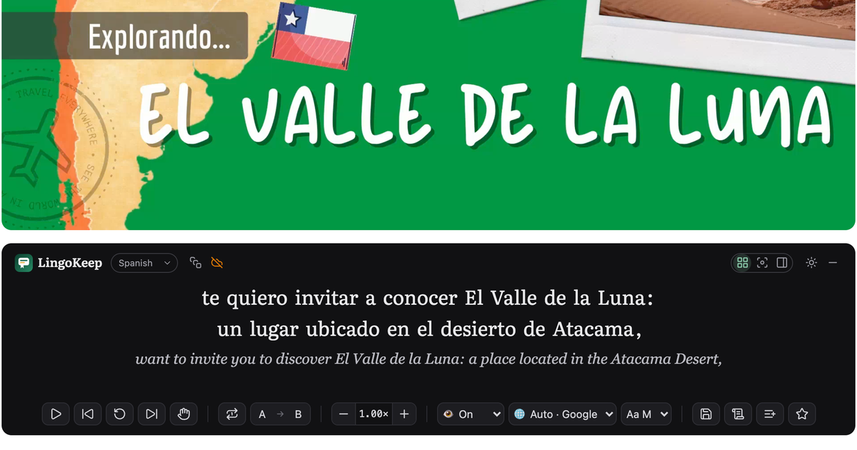 LingoKeep screenshot 1